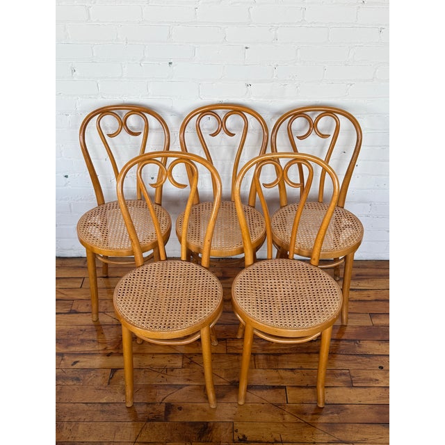 Thonet 1960s Set of 5 Thonet-Style Bentwood Sweetheart Chairs - Made in Romania For Sale - Image 4 of 7