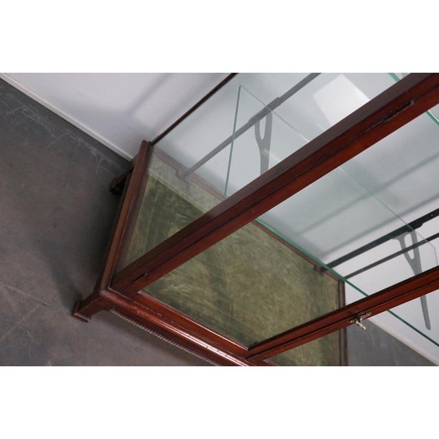 Victorian Mahogany Museum Shop Display Cabinet or Vitrine, Late 19th Century For Sale - Image 13 of 18