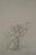 Alberto Giacometti, Paysage, Lithograph For Sale - Image 6 of 6