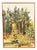 Ann‑cathrine Tine Lundkvist, Forest Landscape, 1975, Oil Painting on Canvas, Framed For Sale