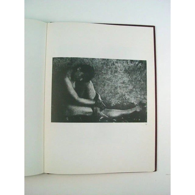 Vintage Robert Demachy, French Photographer Book For Sale In Seattle - Image 6 of 9