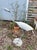 Large handcrafted metal bird sculpture depicting a crane or heron, made from welded and shaped steel with a long curved...