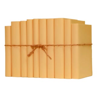 Decorative Books - Honey Paper Wrapped Book Bundle - 1 Foot of Yellow Books For Sale