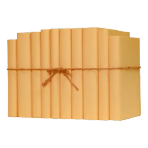 Decorative Books - Honey Paper Wrapped Book Bundle - 1 Foot of Yellow Books