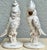 Mid-Century Modern Made in Japan Cockatoo Parrots - A Pair For Sale - Image 12 of 16