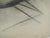 Marcel Mouly, Nude Study, Charcoal For Sale - Image 5 of 8
