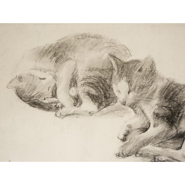 English Late 19th Century Cat Study Drawing For Sale - Image 3 of 5