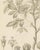 J. Gaÿkema, Aralia Pentaphylla Shrub with Flower and Fruit Details, 1858, Lithograph For Sale - Image 6 of 9