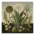 Dark Green Antique Botanical Garden Study No. 2 - Natural History Fine Art Print For Sale
