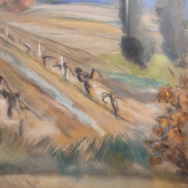 French School Artist, Vineyard in Provence, Early 20th Century, Pastel on Paper, Framed For Sale - Image 6 of 18