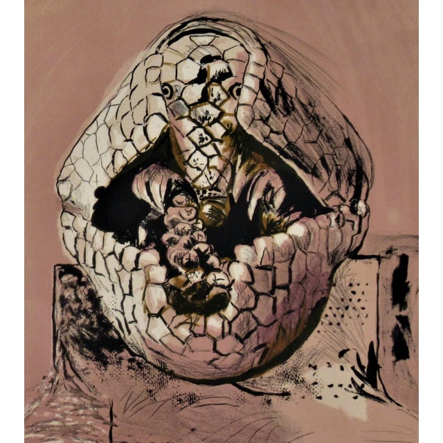 This artwork titled "Armadillo" from the suite "Bestiary and some Correspondences" 1965/1968 is an original color...