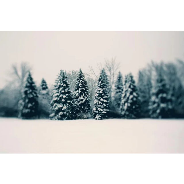 Winter and Woods by Alicia Bock, 24" x 36" Unframed Winter and Woods by Alicia Bock Print, 24" x 36"