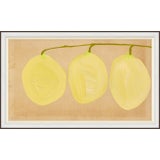 Loquat Framed Art Print For Sale