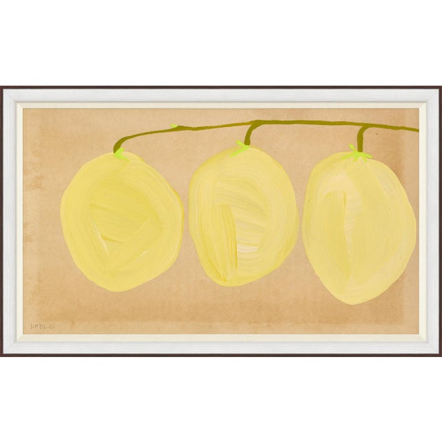 Loquat Framed Art Print by Susan Hable For Sale