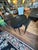 Barbara Barry for Baker Black Laquer Oval End Tables- A Pair For Sale In Philadelphia - Image 6 of 11