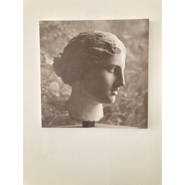 William Gray Harris Photograph on Canvas “ Aphrodite of Kindos" For Sale - Image 4 of 9