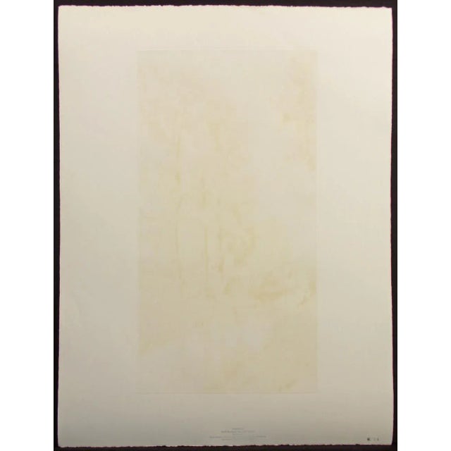 Printmaking Materials 1970s European Landscape Aquatint Etching by Roger Hebbelinck For Sale - Image 7 of 9