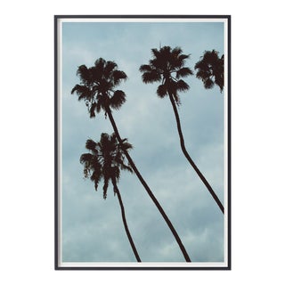 Palm Sky (Blue) Photograph For Sale