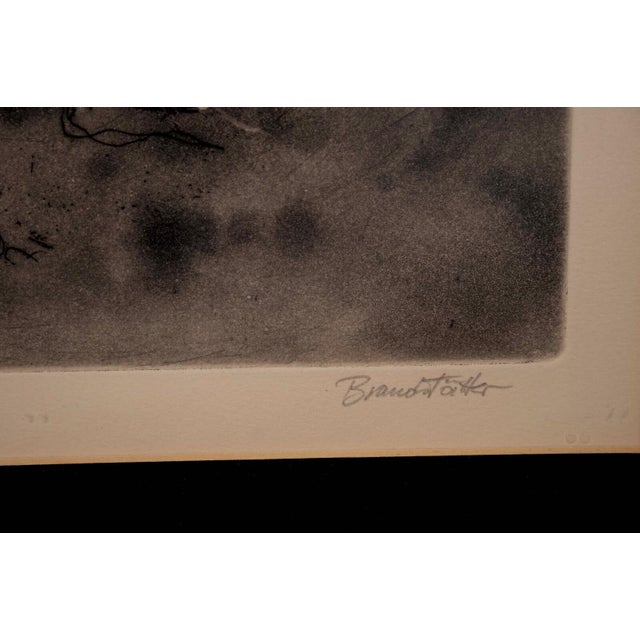 1970s Karl Brandstatter Untitled Nude Modernist Etching on Paper 38/120 Framed 1970s For Sale - Image 5 of 9