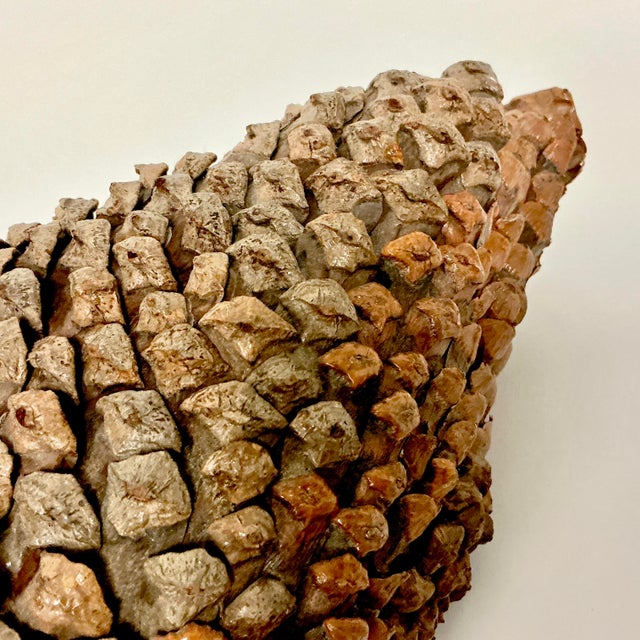 Brown 1950s Arts & Crafts Boho Chic Adirondack Pine Cone & Paper Mache’ Duck Figurine For Sale - Image 8 of 16