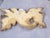 American 19th Century Giltwood Carving For Sale - Image 3 of 3