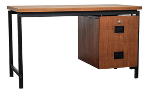 Japanese Series EU01 Desk by Cees Braakman for Pastoe, Netherlands, 1960s