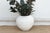 White Greek Contemporary Beehive Planter For Sale - Image 8 of 8