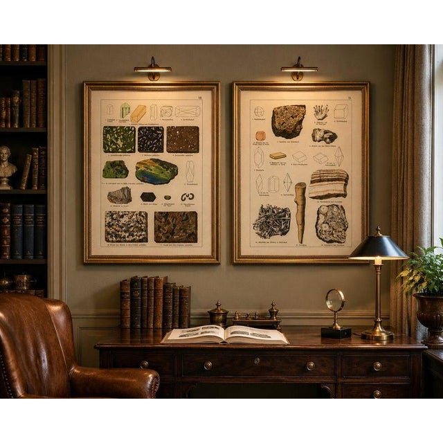 Antique Mineralogy Chromolithographs of Granite, Calcite and Fossil, 1888, Set of 2 For Sale - Image 11 of 12
