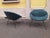 Saporiti Italia Minoletta Armchairs in Green Fabric by Augusto Bozzi for Saporiti, 1950s, Set of 2 For Sale - Image 4 of 14