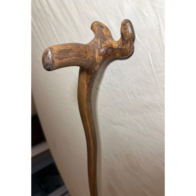19th Century Unique Antique Carved Wood Natural Root Handle Walking Stick Cane For Sale - Image 5 of 13
