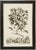 Munting Botanicals Set #2 Framed in Italian Wood Veneer Moulding For Sale In Atlanta - Image 6 of 11
