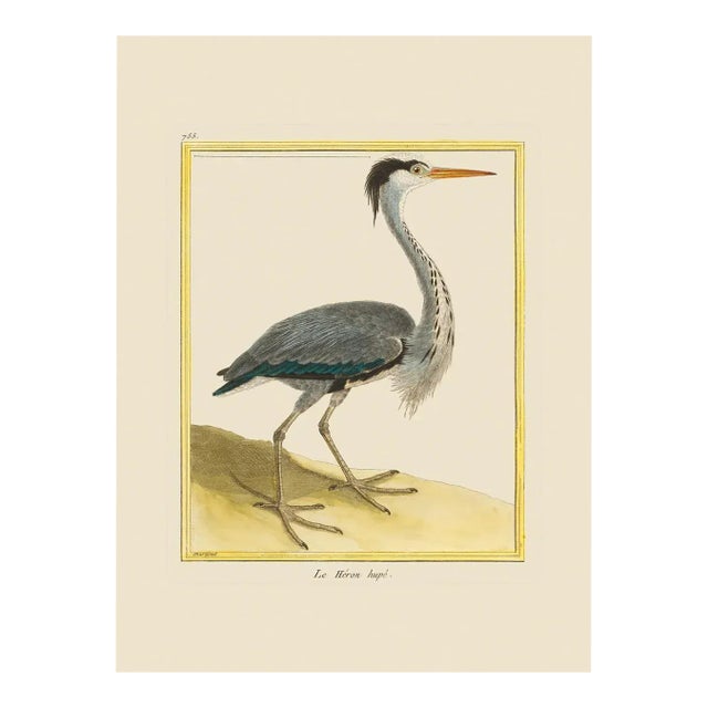 Grey Heron by Martinet Blue and Pink Giclee Reproductions For Sale