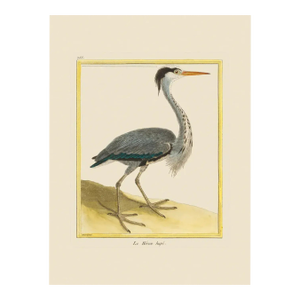 Grey Heron by Martinet Blue and Pink Giclee Reproductions