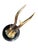 Roe Deer Trophy 128 Black Forest Antlers For Sale - Image 4 of 5