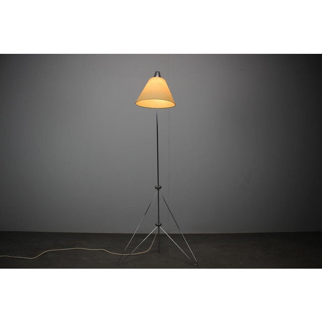 Giraffe Floor Lamp in Chrome with Handmade Parchment Shade attributed to Josef Hůrka for Napako, 1960s For Sale - Image 16 of 18