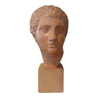 French Terra-Cotta Bust of a Classical Male For Sale