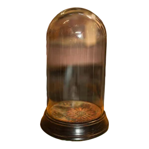Victorian Antique Display Dome, English, Glass, Beech, Taxidermy, Showcase