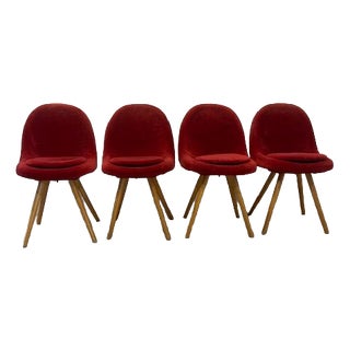 Lollypop Dining Chairs by Navratil for Vertex, 1960s, Set of 4 For Sale
