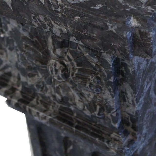 18th Century Louis XVI Fireplace Mantel in St Anne's Marble For Sale - Image 4 of 6