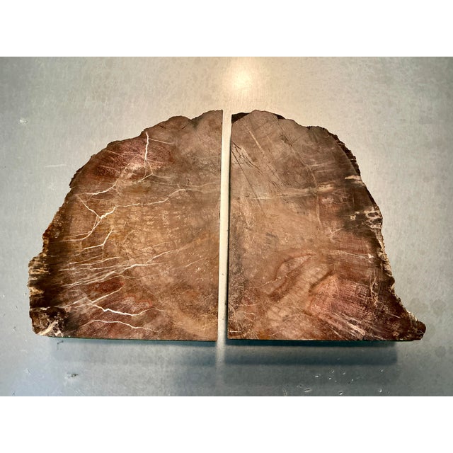 Vintage Bookmatched Petrified Wood Bookends - A Pair For Sale In Cleveland - Image 6 of 9