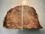 Vintage Bookmatched Petrified Wood Bookends - A Pair For Sale In Cleveland - Image 6 of 9