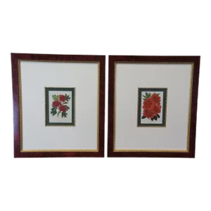 Horto Van Houtteano Framed Botanical Tropical Colored Lithograph Prints Plants - Set of 2
