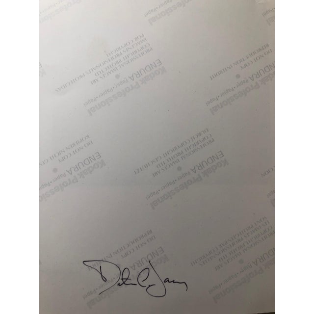 Peter C. Jones 1, Basket of Lilies, Large Format Flowers Photo 24X20 Color Photograph Beach House, 2002 For Sale In Miami - Image 6 of 7