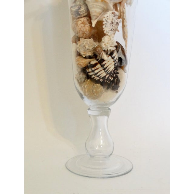 Glass Large Coastal Vase With Seashell Collection 19.5 Inches For Sale - Image 7 of 9