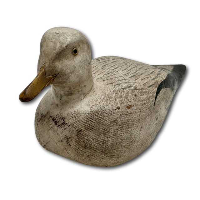 This is a Exceptionally Nice & Very Decorative Seagull Decoy Figure. Large Size Measuring Approx 18 1/2 inches Long!....