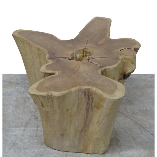Organic Modern Nature Wood Color Coffee Table For Sale In Greensboro - Image 6 of 7