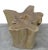 Organic Modern Nature Wood Color Coffee Table For Sale In Greensboro - Image 6 of 7
