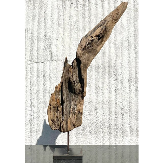 Late 20th Century Driftwood Sculpture on Steel Plinth For Sale - Image 4 of 13