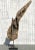 Late 20th Century Driftwood Sculpture on Steel Plinth For Sale - Image 4 of 13