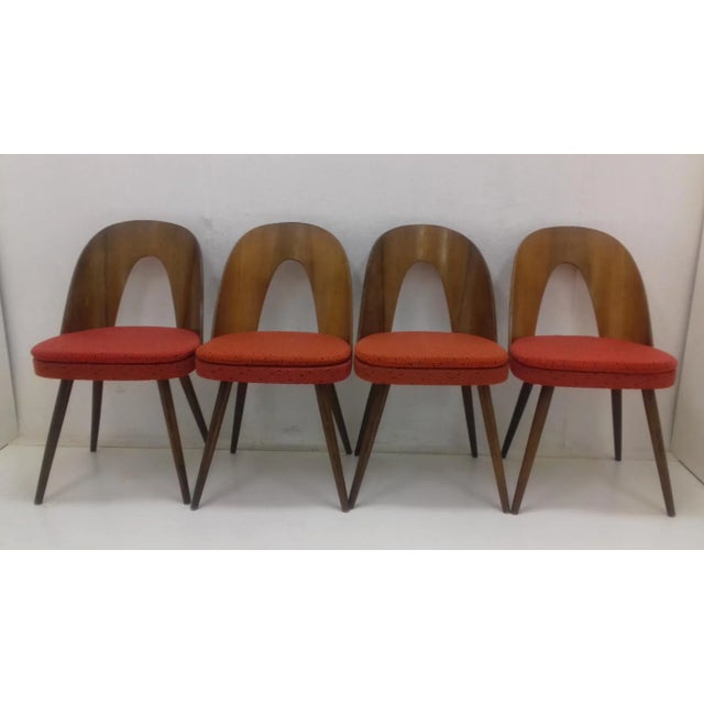 Dining Chairs by Antonín Šuman, 1960s, Set of 4 For Sale - Image 11 of 11